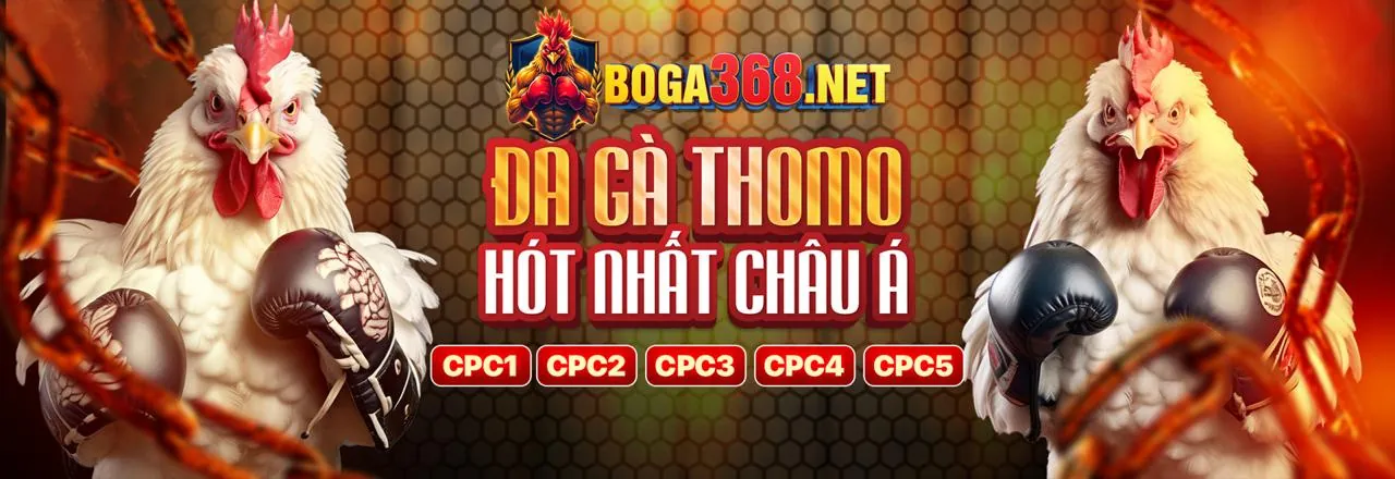 Đội ngũ chuyên gia của xin88