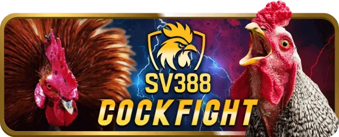 Khách hàng hài lòng với dịch vụ cskh xin88